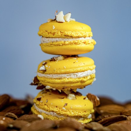 Macarons by Bakery de Stefano © 2023 Bakery de Stefano. All Rights Reserved.