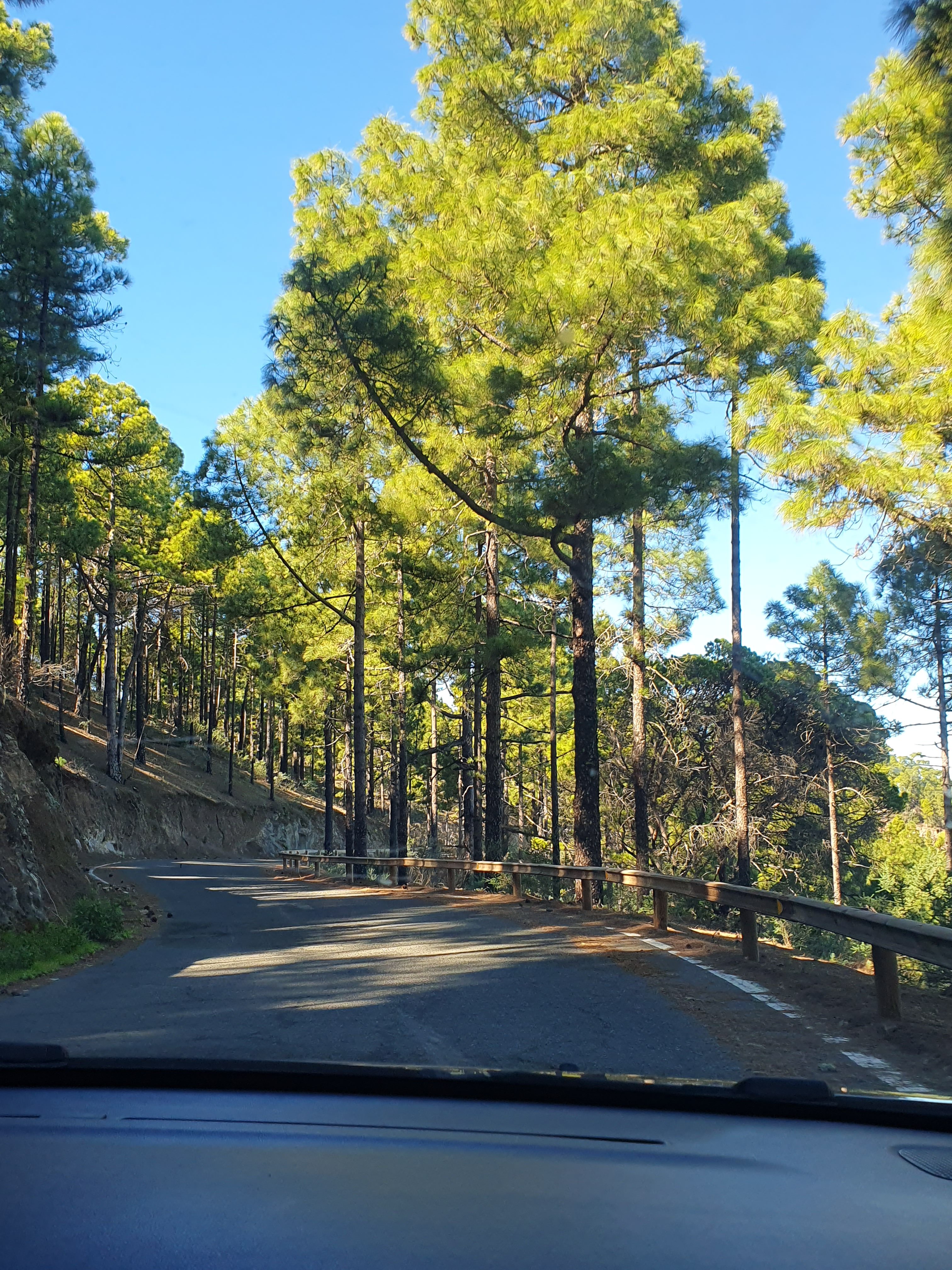Roadtrip: Roque Nublo, Tejeda, Artenara, Agaete and Puerto de las Nieves(± 3½ hours driving)