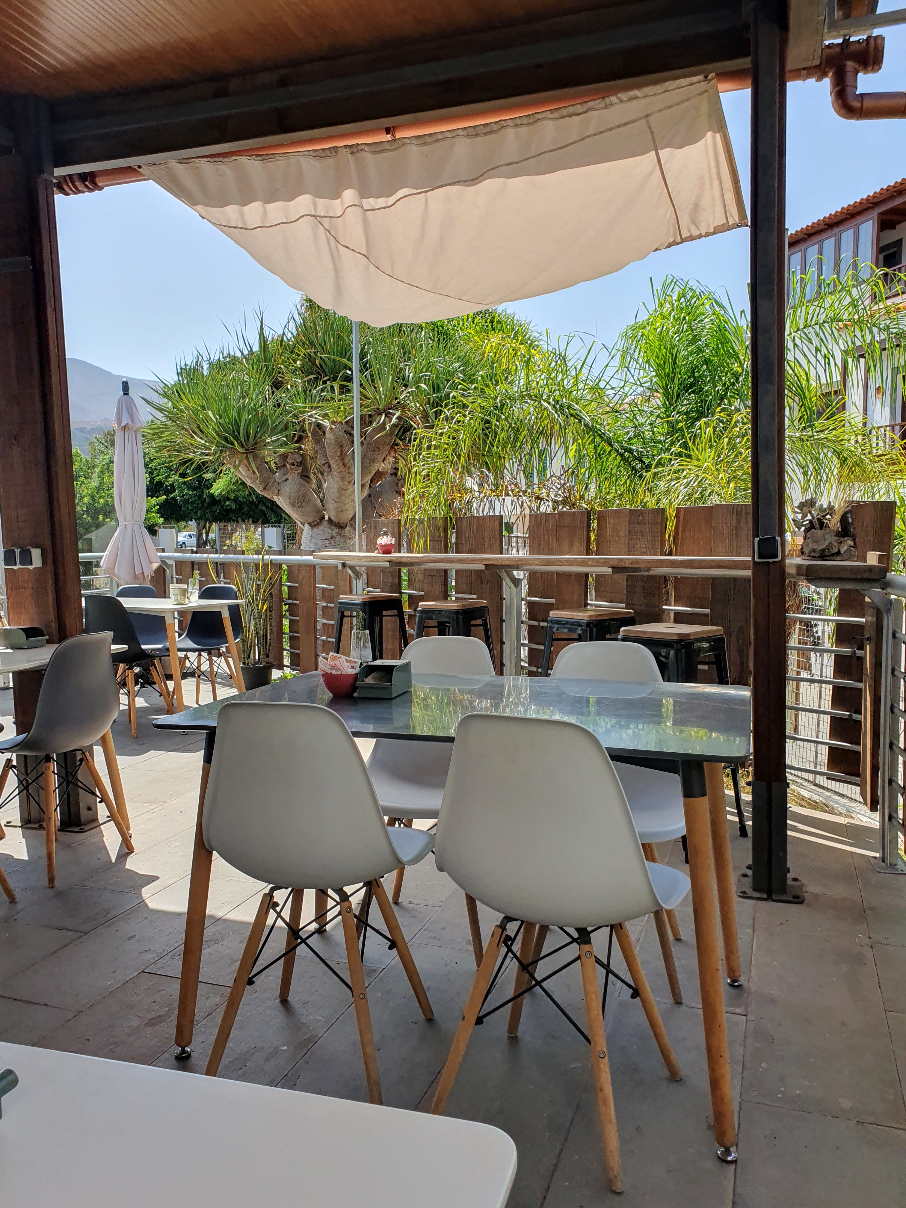 Hondo Cafe © 2023 - Live it up, Las Palmas!