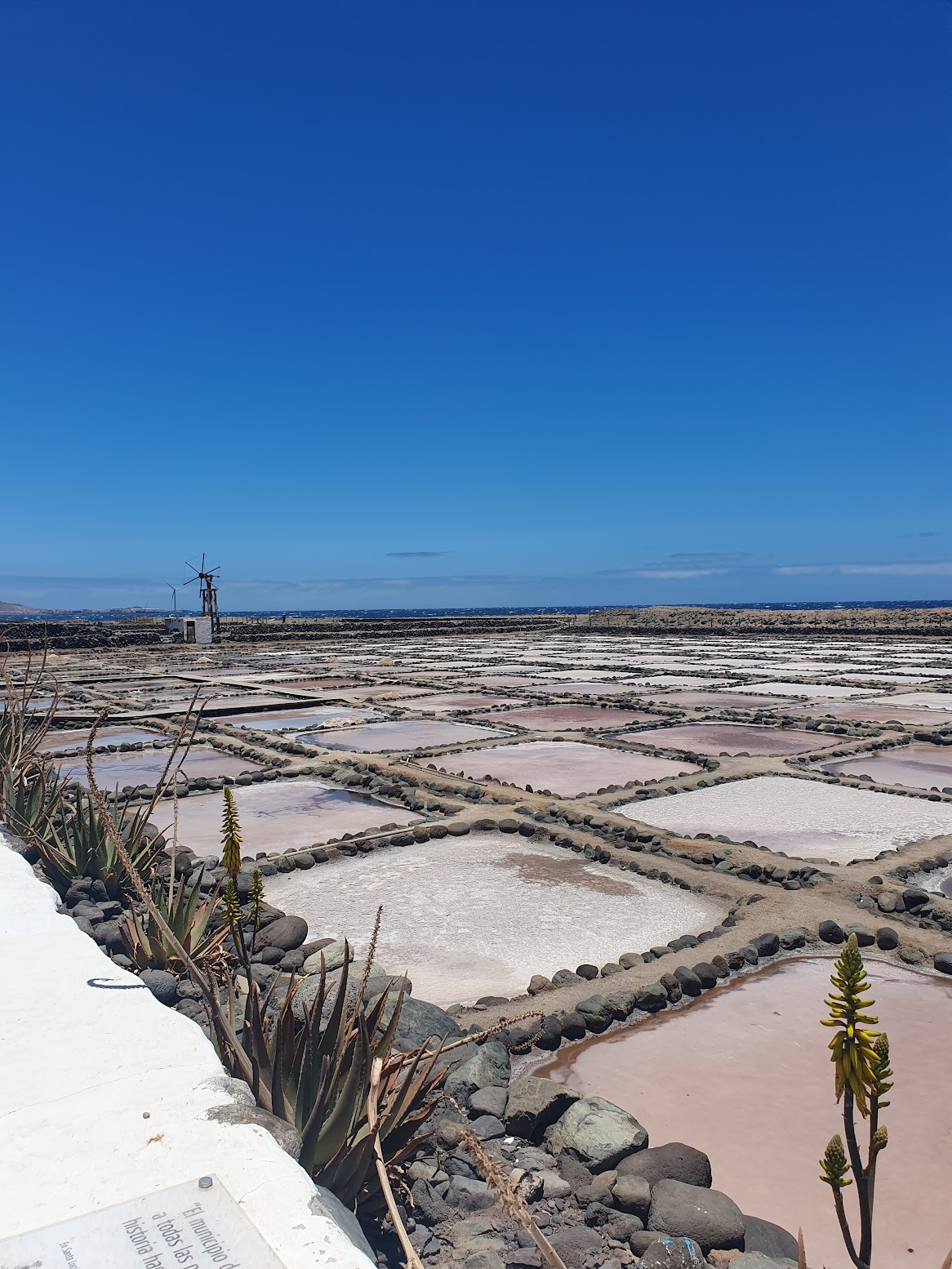 Carsick-Proof Roadtrip: El Bufadero, Agüimes, Guayadeque, Saltworks, Maspalomas, Playa de Amadores (±2 hours driving)