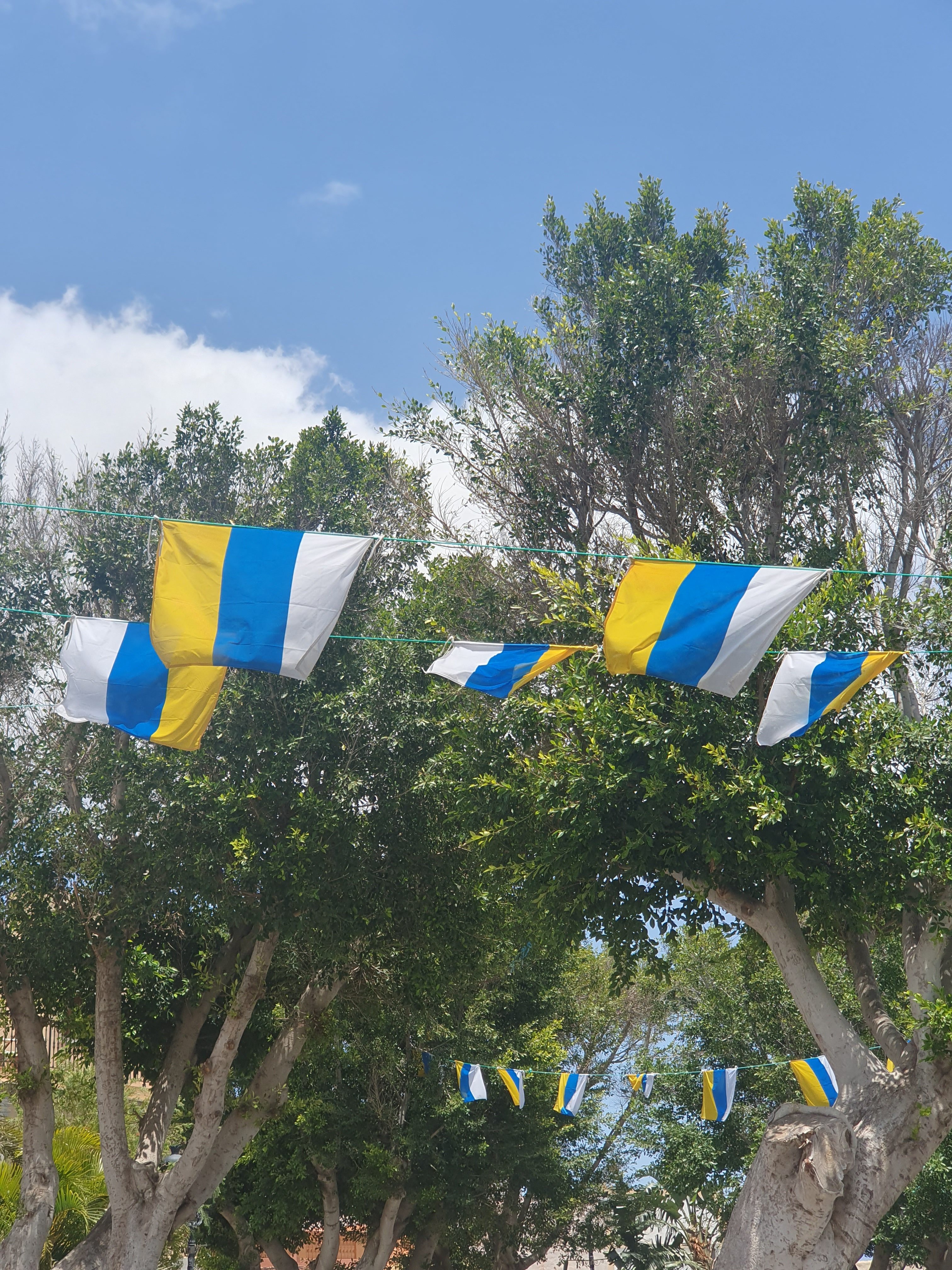 Día de Canarias in Gran Canaria: Your 2025 Guide to Celebrating Like a Local (UPDATED)