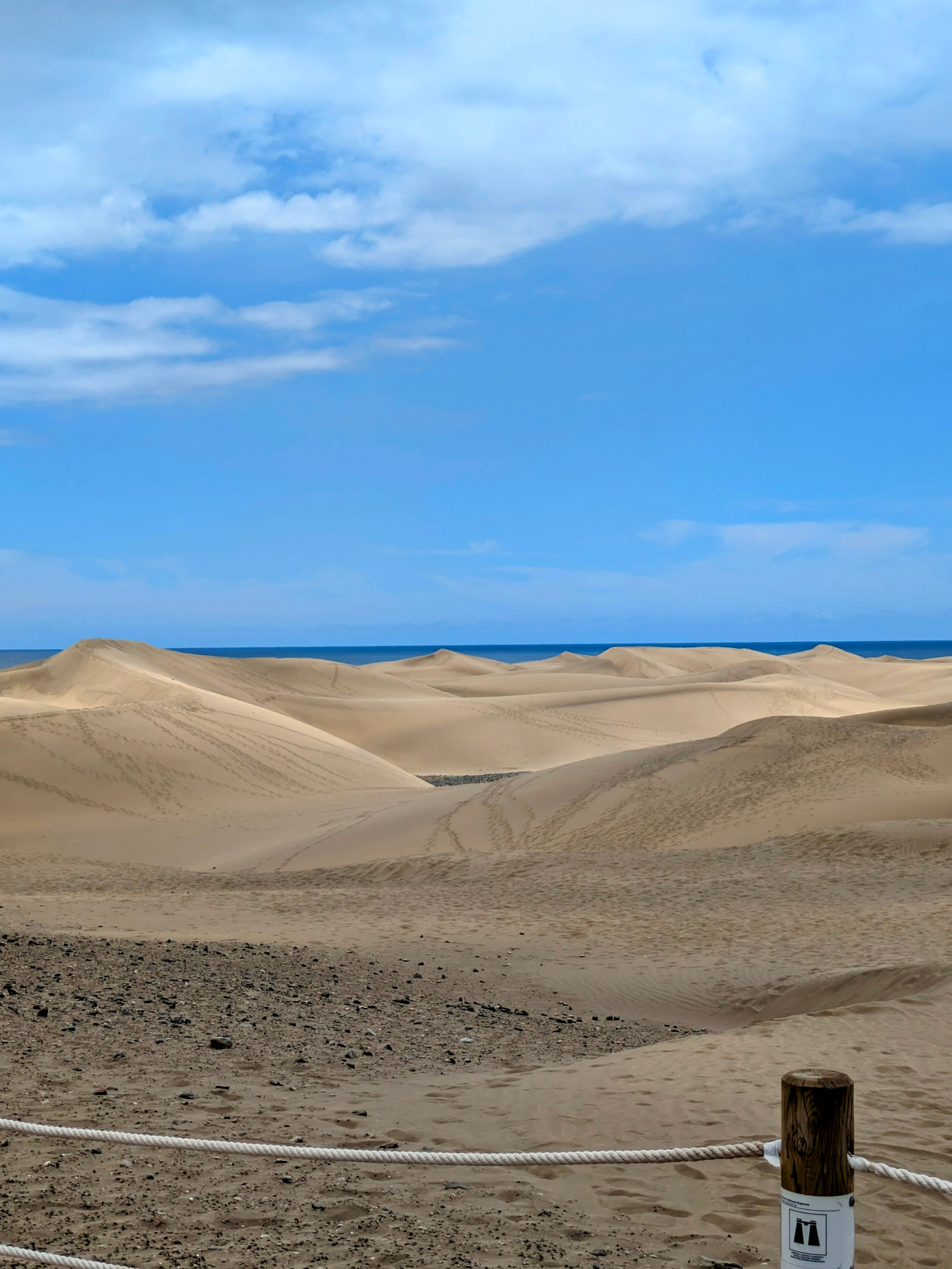 Maspalomas Gets Smarter: New Tech Measures to Protect the Dunes