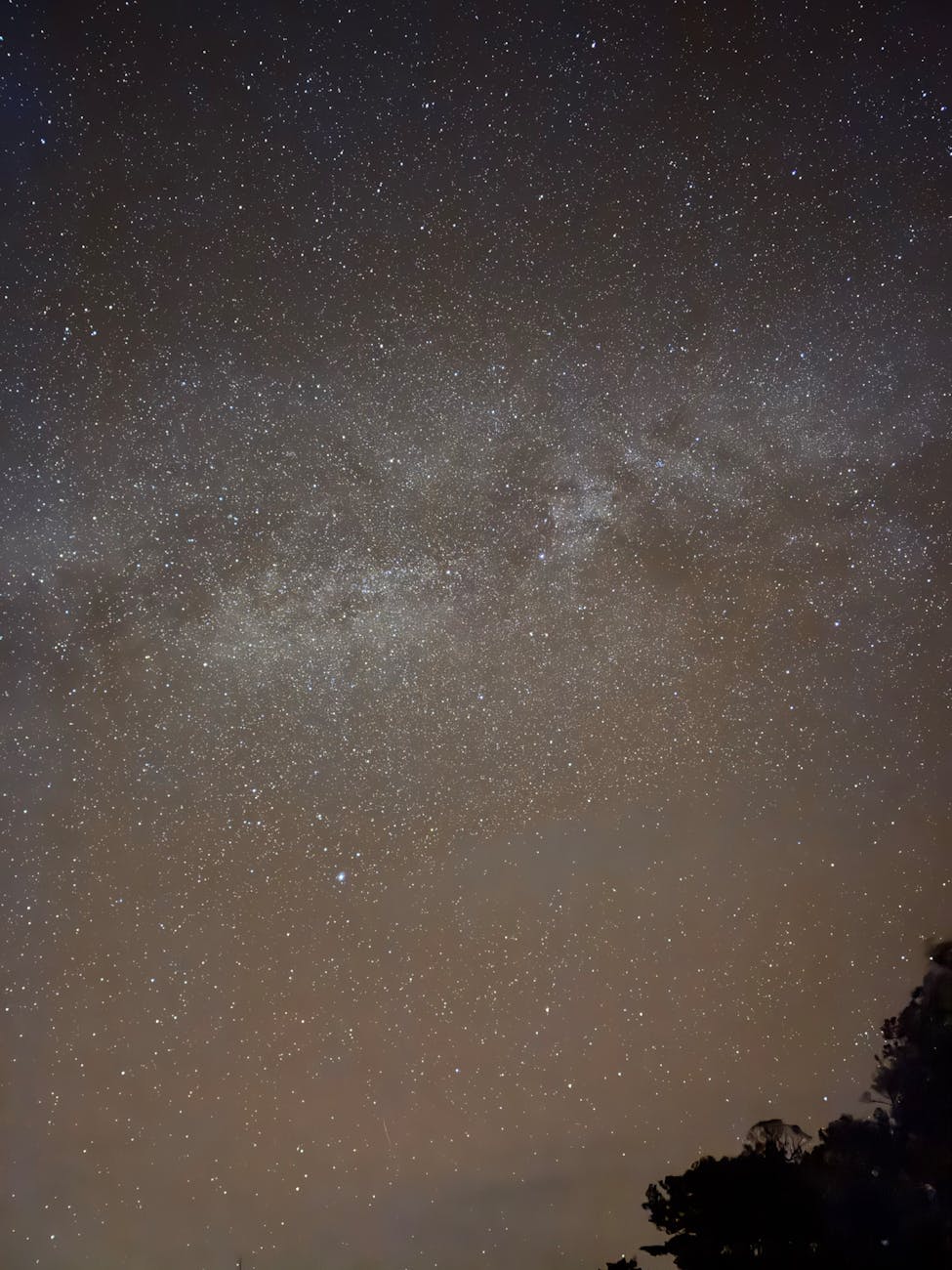 How to Watch the Geminids in Gran Canaria: The Island’s Most Spectacular Meteor Shower